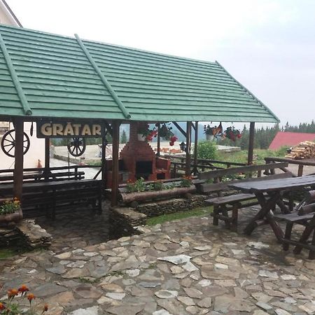 Pensiunea Brandusa Ranca Bagian luar foto