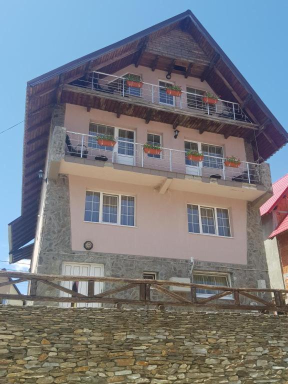 Pensiunea Brandusa Ranca Bagian luar foto