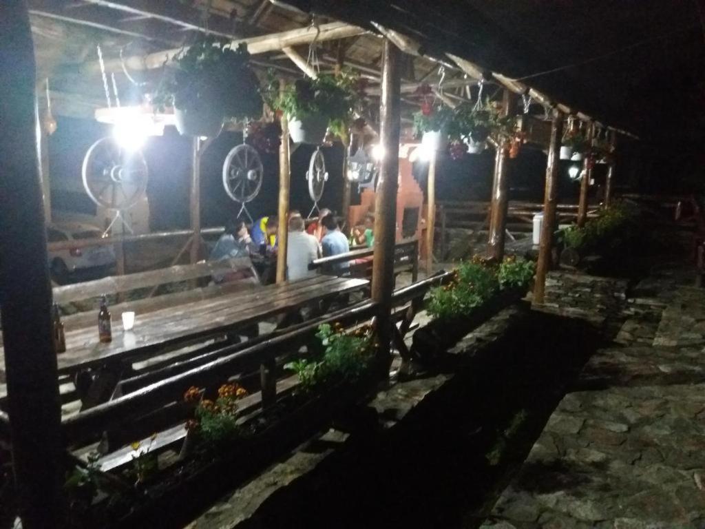 Pensiunea Brandusa Ranca Bagian luar foto