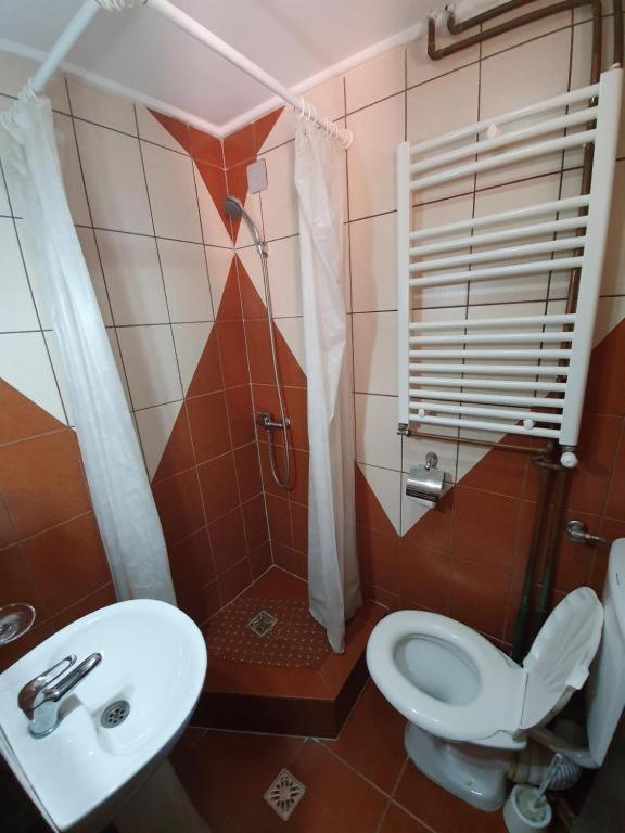 Pensiunea Brandusa Ranca Bagian luar foto