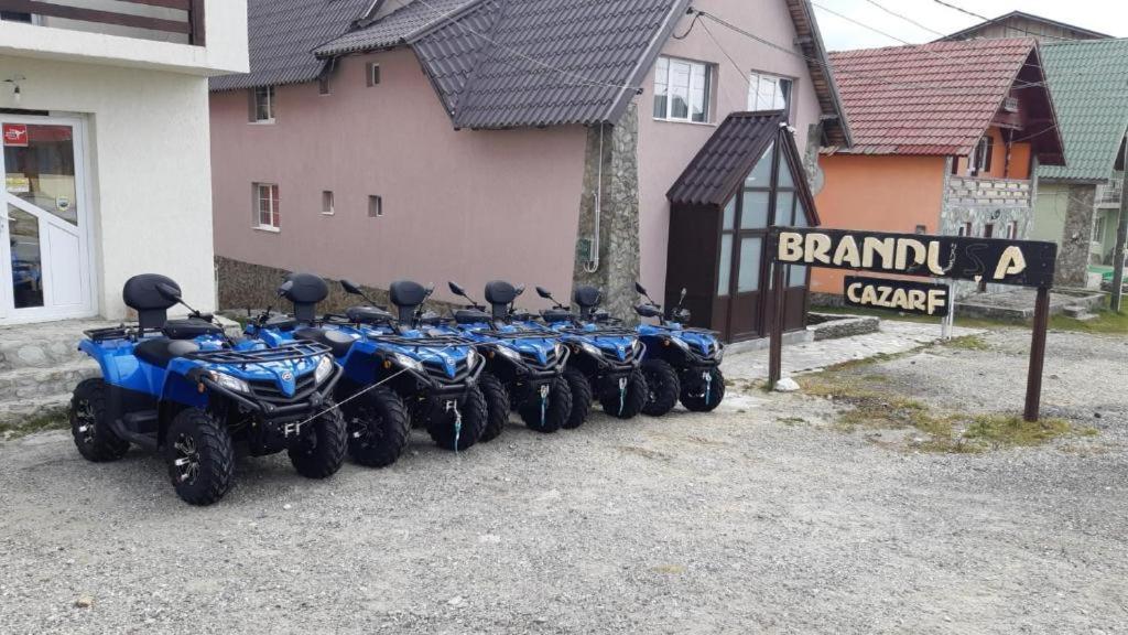 Pensiunea Brandusa Ranca Bagian luar foto