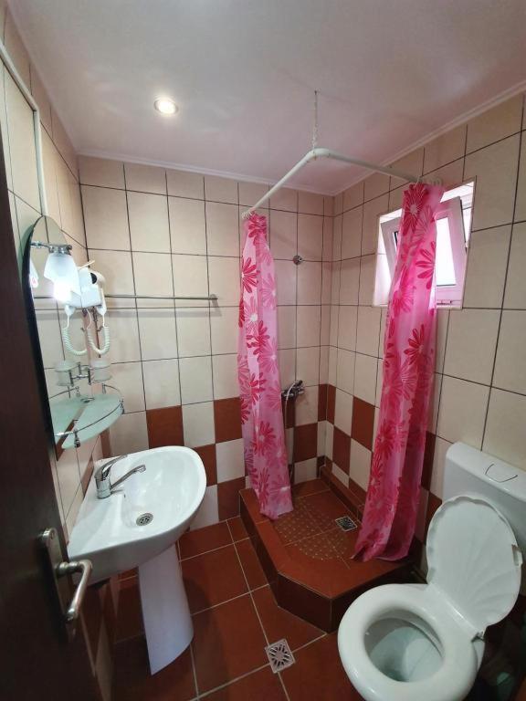 Pensiunea Brandusa Ranca Bagian luar foto